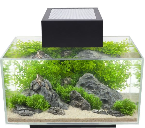 Fluval Edge, 6 gallon Aquarium with 21-LED Light