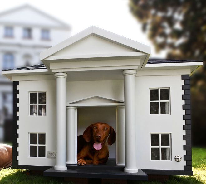 Dog Mansion Dog Mansion