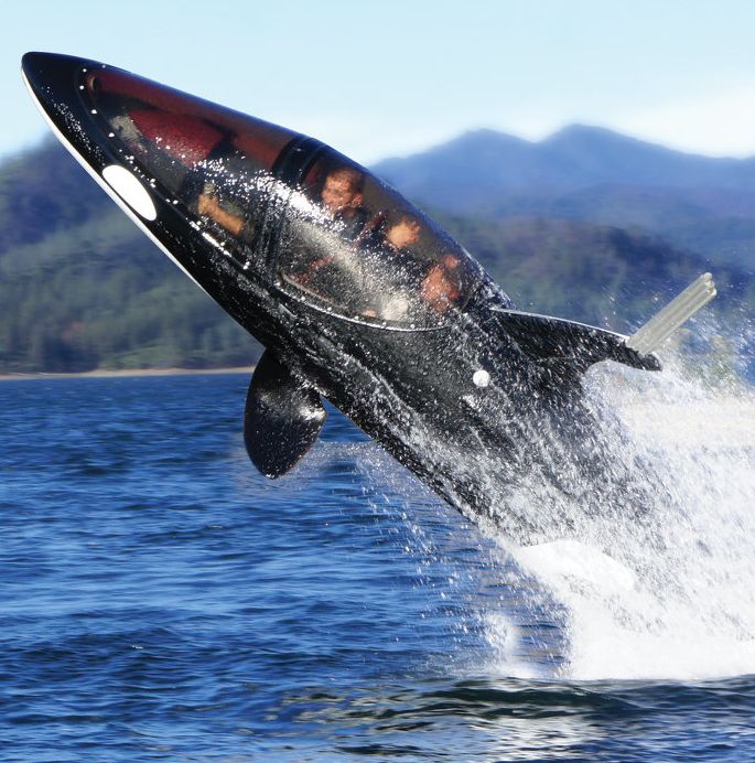The Killer Whale Submarine The Killer Whale Submarine