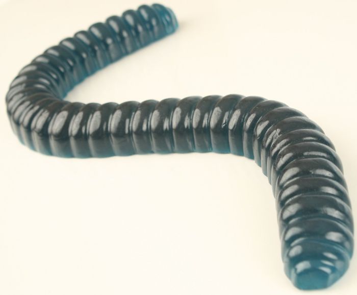 World's Largest Gummy Worm