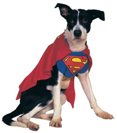 Superman Pet Costume Superman Pet Costume