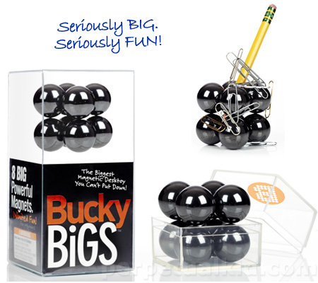 BUCKY BIGS