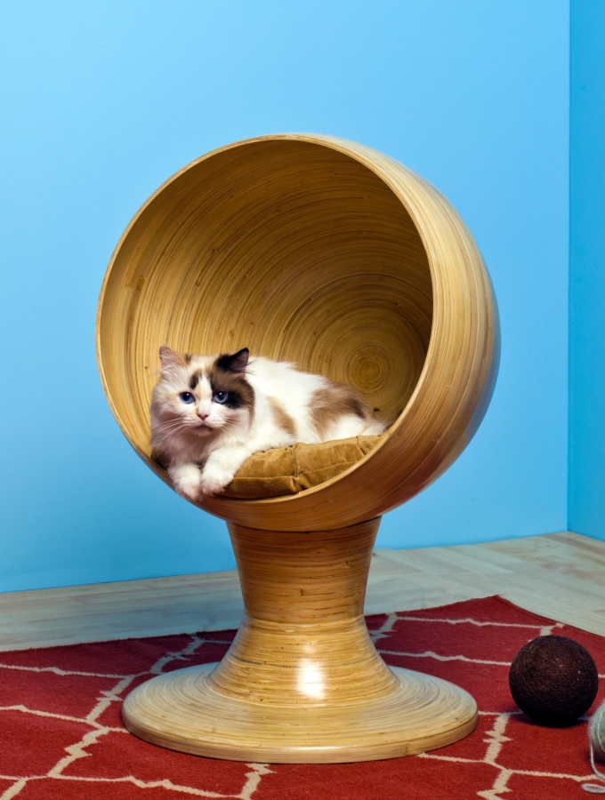 The Refined Feline's Kitty Bamboo Ball Bed Amazon.com Pet Supplies - PT01 Kitty Bamboo Ball Bed