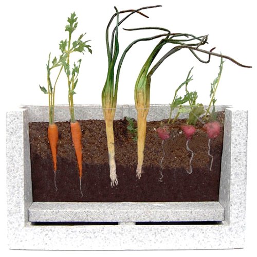 Root-Vue Farm