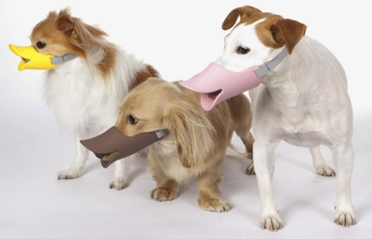 Duck bill designer pet protection Duck bill designer pet protection