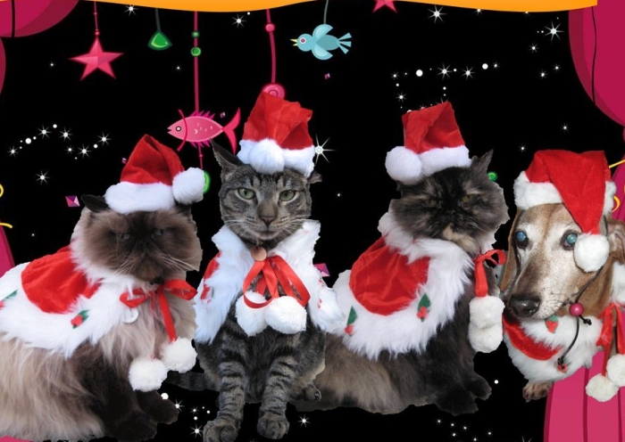 Jolly St. Nick holiday cape and Santa hat