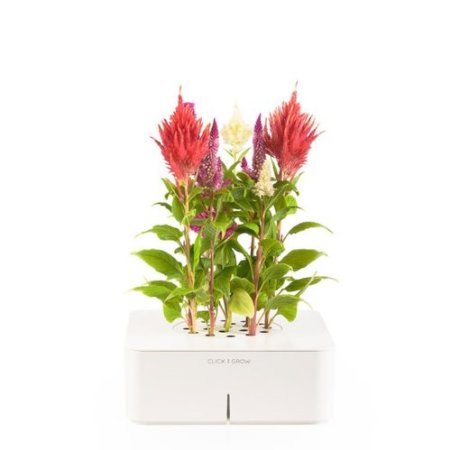 Click and Grow Self Watering Planter Click and Grow Self Watering Planter