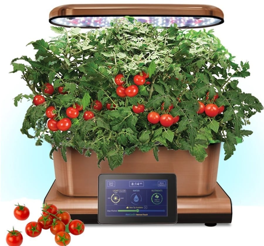 Aerogarden Copper Stainless Indoor Garden with Cherry Tomato Kit