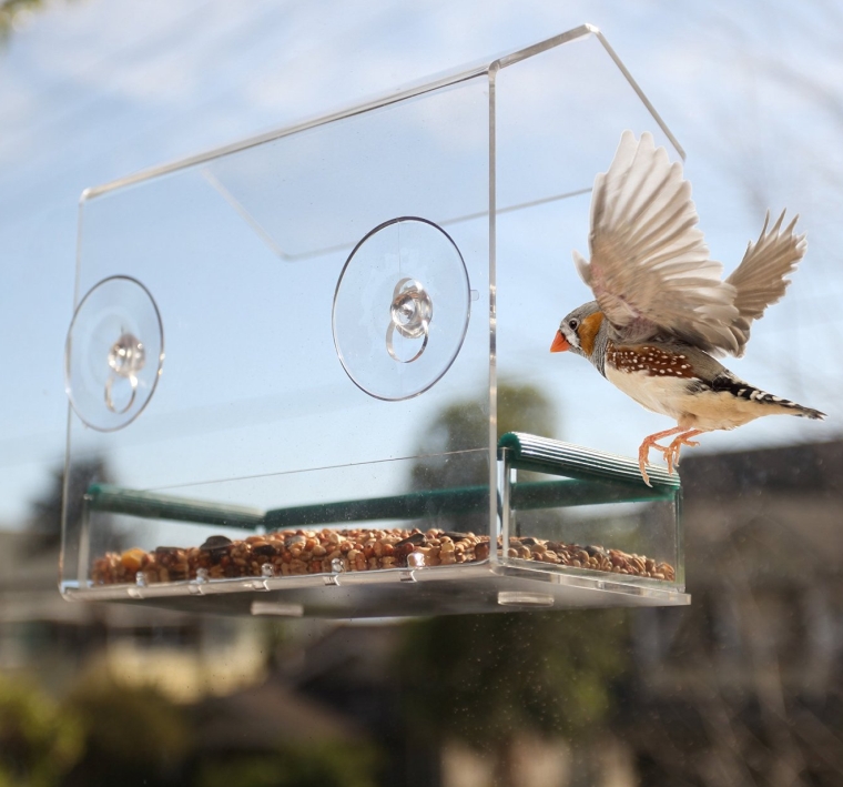 Window Bird Feeder House 7 Gadgets
